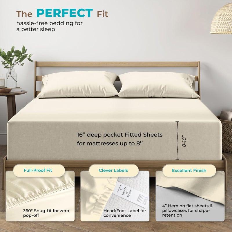 THREAD SPREAD 100% Egyptian Cotton Sheets Twin XL Size - 800 Thread Count 3 PC Twin XL Sheet Sets Cotton, Silky Soft College Dorm Sheets Twin XL Set, 16" Deep Pocket Luxury Cooling Bed Sheets - Ivory - Image 4